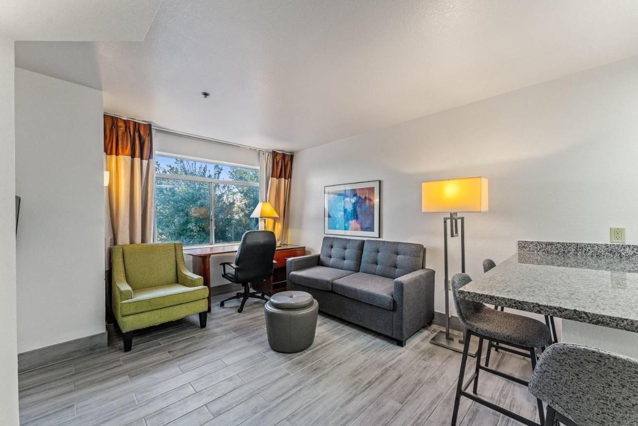 Chandler 1 Bd 1 Ba Fully Renovated Premium Lux Apartment Pets Allowed Exterior foto